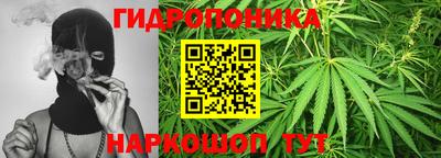 PSILOCYBIN Лесосибирск