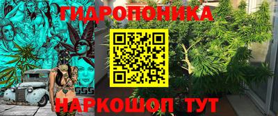 PSILOCYBIN Лесосибирск