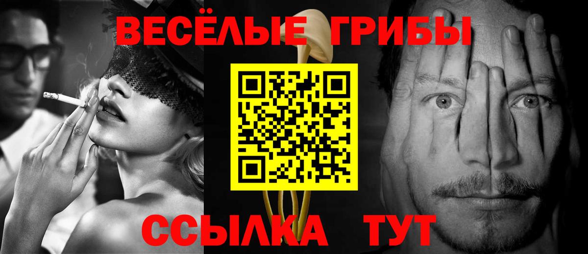 Феодосия  Псилоцибиновые грибы Psilocybine cubensis  Вход с VPN  Псилоцибиновые грибы GOLDEN TEACHER 